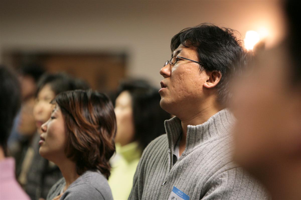 IMG_9017 (Custom).jpg